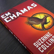 Em Chamas, o livro