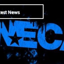 NECA lançará bonecos de Jogos Vorazes