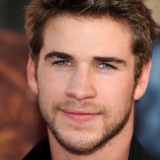 Feliz aniversário, Liam Hemsworth!