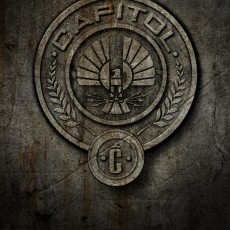 Campanha #HungerGames74 do TheCapitol.pn