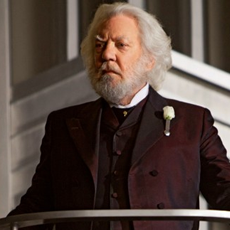 A mídia em Panem