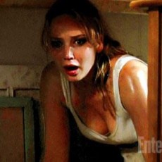 Tésseras da Semana: Casamentos, US$ 181,8 mi de bilheteria doméstica e “House at the End of the Street”