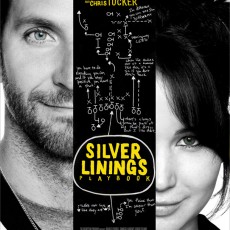 EXCLUSIVO: Livro que originou filme “Silver Linings Playbook” tem informações divulgadas!