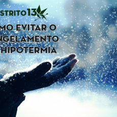 Stay Alive: Como evitar a hipotermia